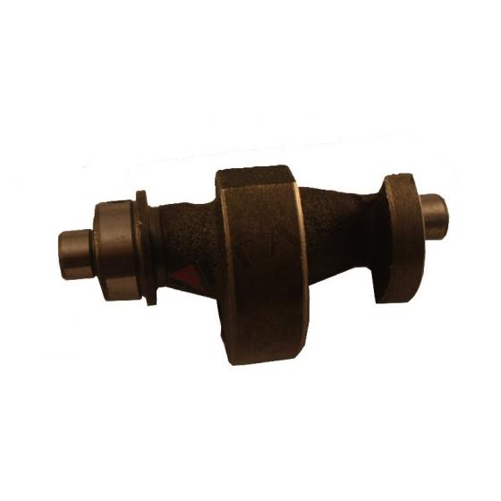 BALANS MİLİ DİZEL 170